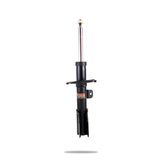Sealed Strut