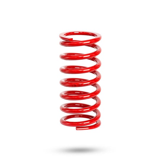 7419 - Pedders Trakryder Coil Spring
