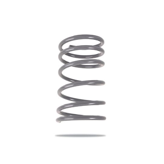 Pedders Coil Spring