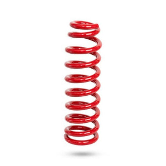 290407 - Pedders Trakryder Coil Spring