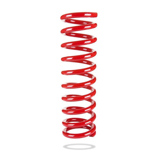 Pedders Coil Spring