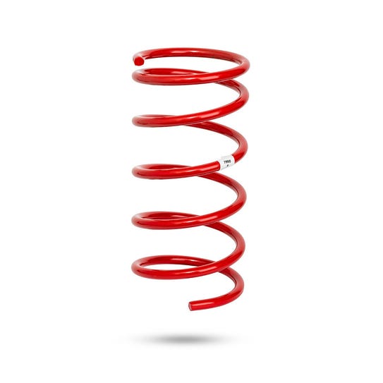 Pedders Coil Spring