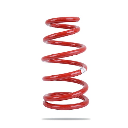 Pedders Coil Spring