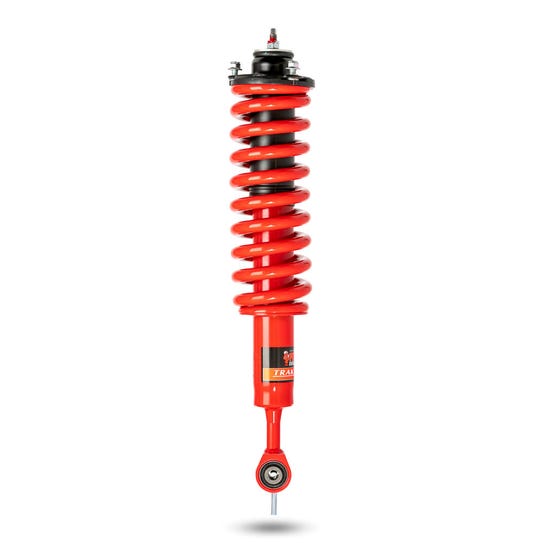 807225 - Pedders EziFit Foam Strut (280071)