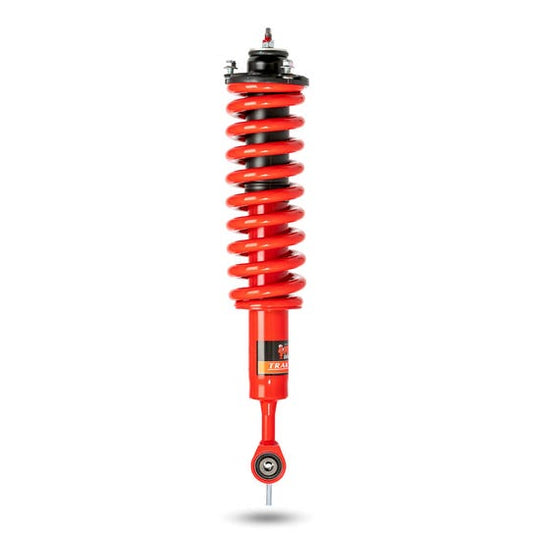 807225 - Pedders EziFit Foam Strut (280071)